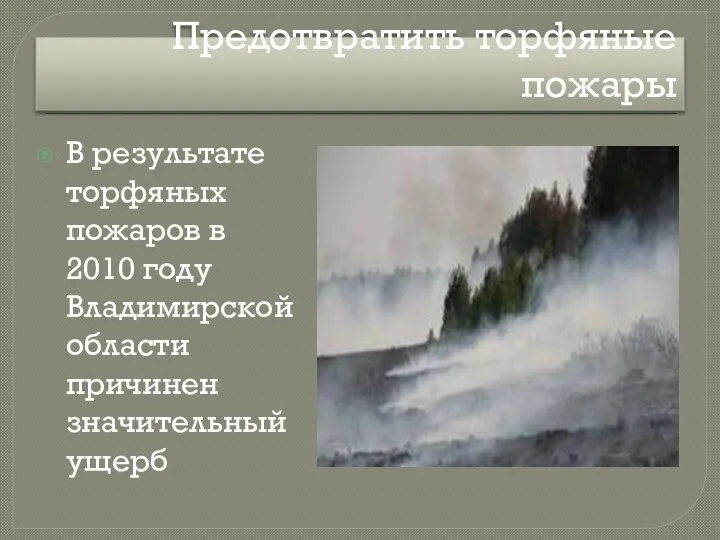 Предотвратить торфяные пожары В результате торфяных пожаров в 2010 году Владимирской области причинен значительный ущерб