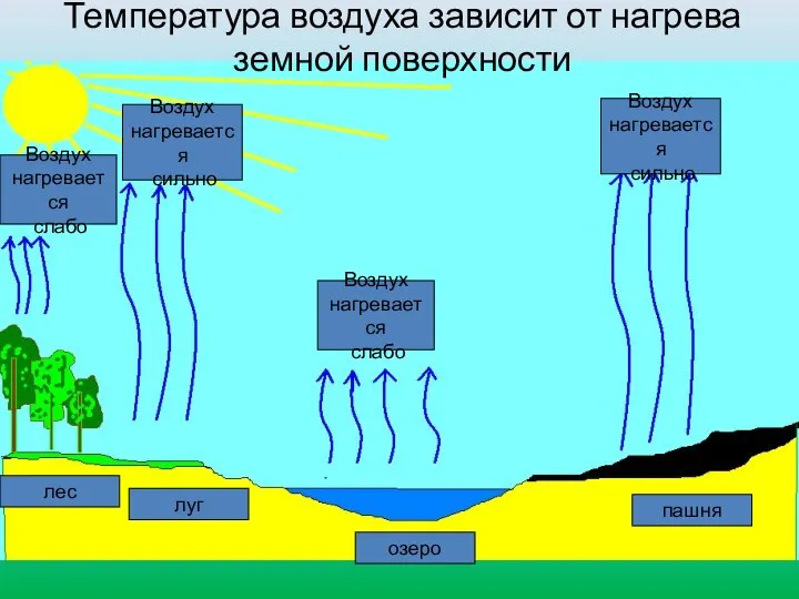 лес луг Воздух нагревается слабо Воздух нагревается сильно озеро пашня Воздух