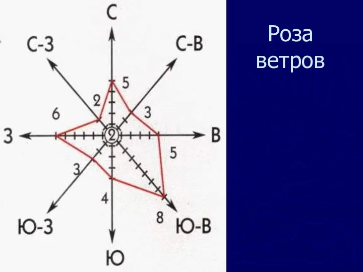 Роза ветров