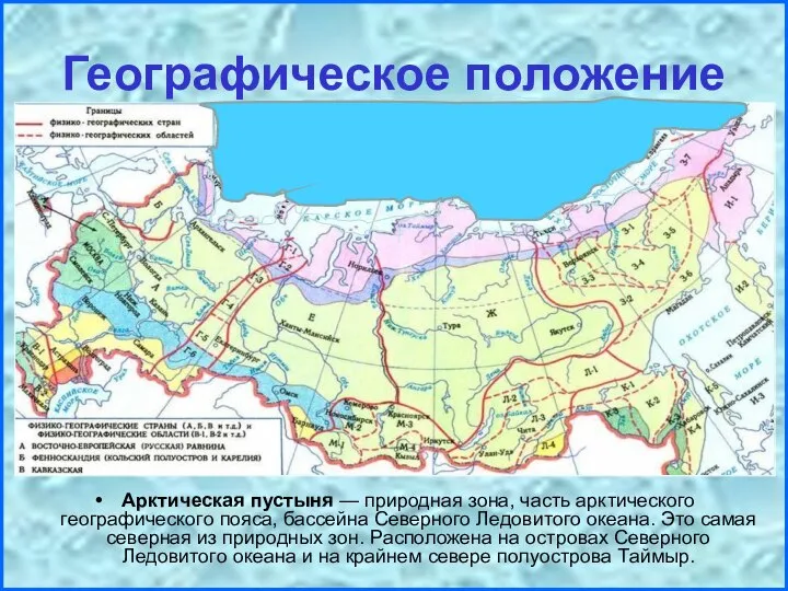 Географическое положение Арктическая пустыня — природная зона, часть арктического географического пояса,