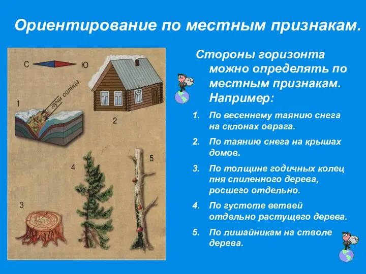 Ориентирование по местным признакам. Стороны горизонта можно определять по местным признакам.