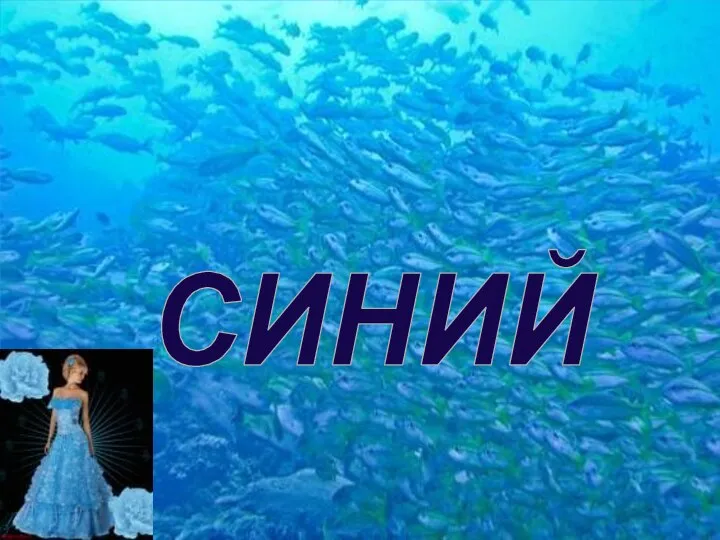 СИНИЙ