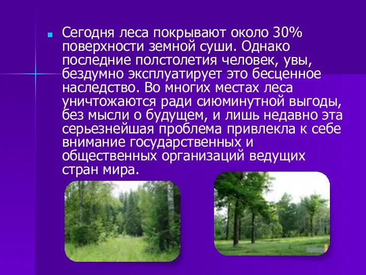 Сегодня леса покрывают около 30% поверхности земной суши. Однако последние полстолетия