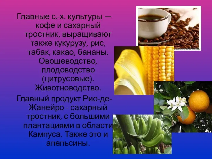 Главные с.-х. культуры — кофе и сахарный тростник, выращивают также кукурузу,
