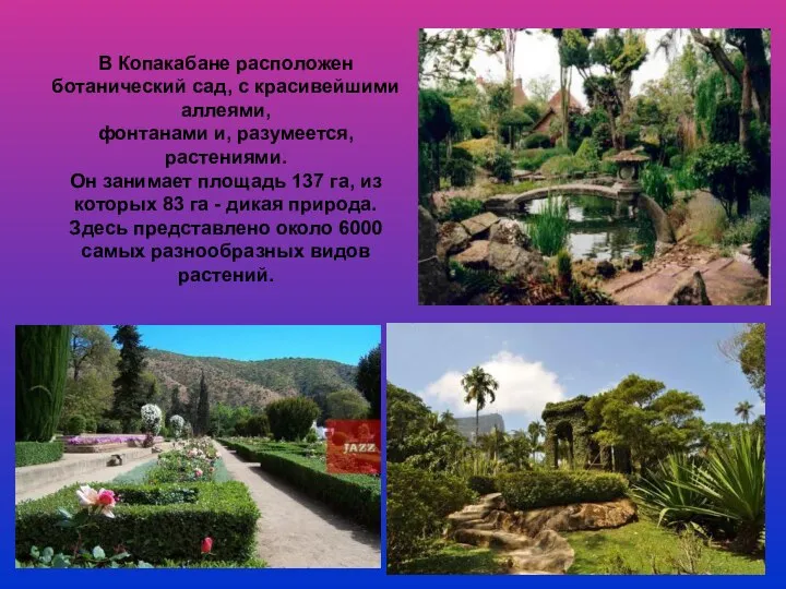 В Копакабане расположен ботанический сад, с красивейшими аллеями, фонтанами и, разумеется,