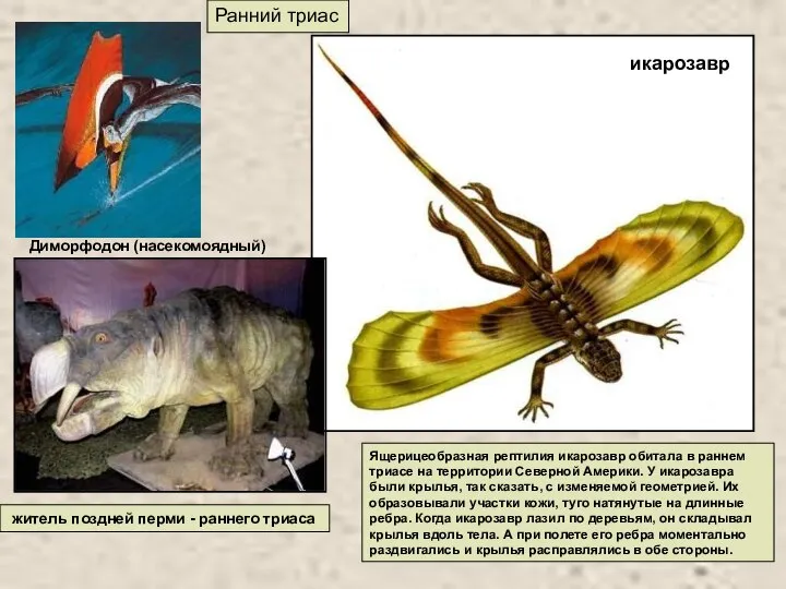 Ранний триас житель поздней перми - раннего триаса Ящерицеобразная рептилия икарозавр
