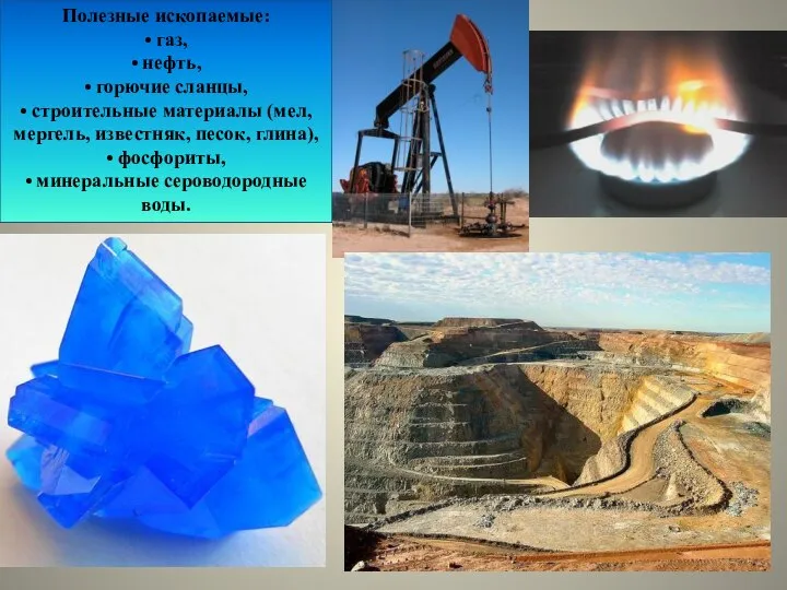 Полезные ископаемые: • газ, • нефть, • горючие сланцы, • строительные