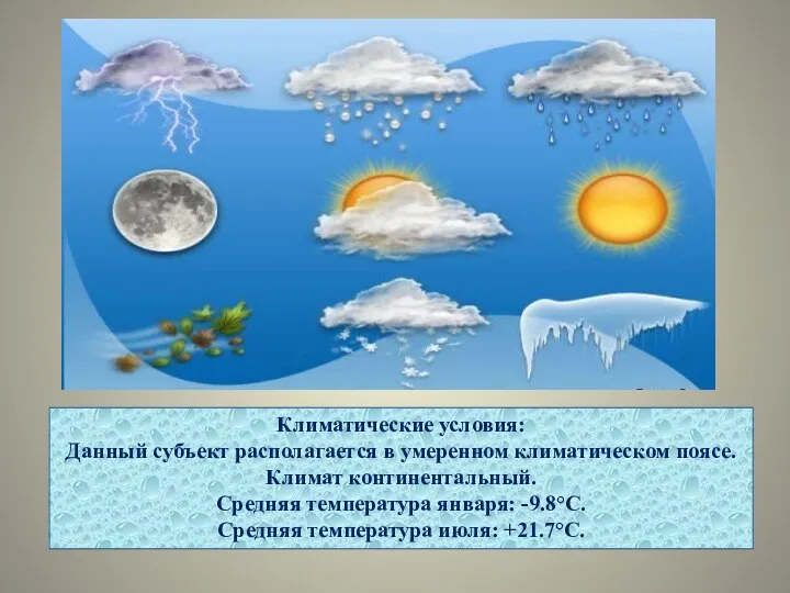 Климатические условия: Данный субъект располагается в умеренном климатическом поясе. Климат континентальный.