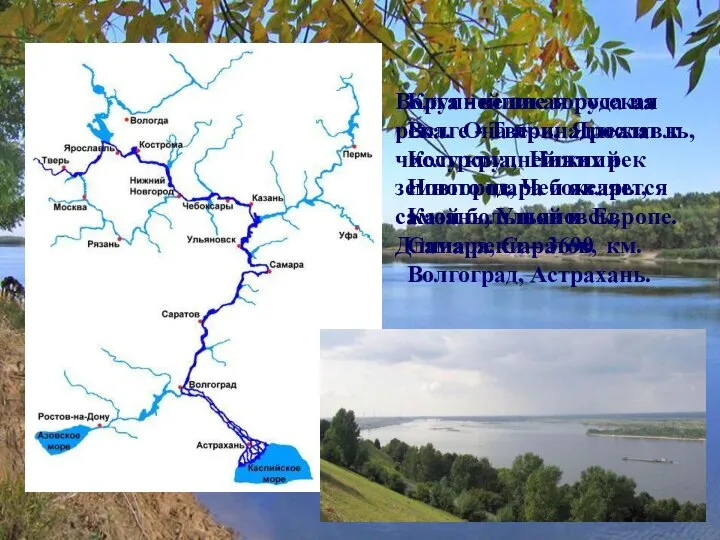 Волга - великая русская река. Она принадлежит к числу крупнейших рек