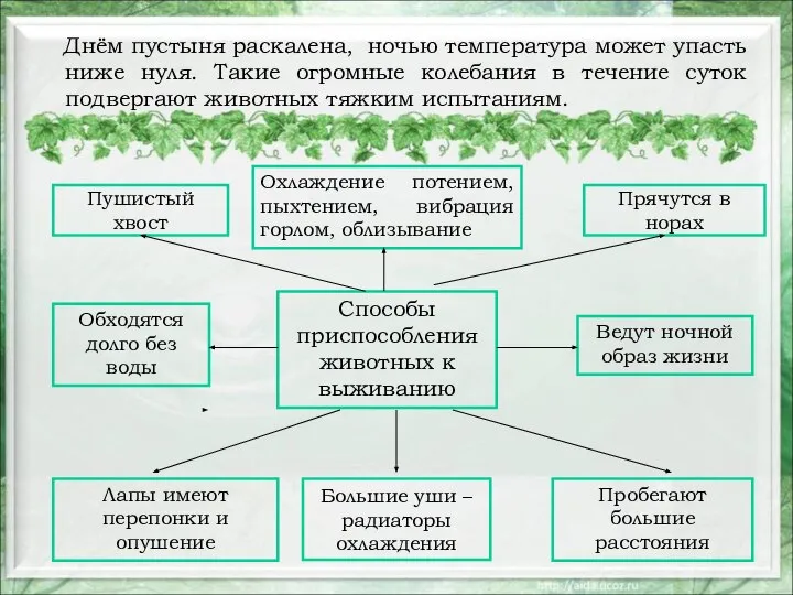 Днём пустыня раскалена, ночью температура может упасть ниже нуля. Такие огромные