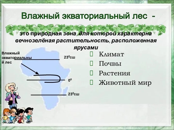 это природная зона, для которой характерна вечнозелёная растительность, расположенная ярусами Климат