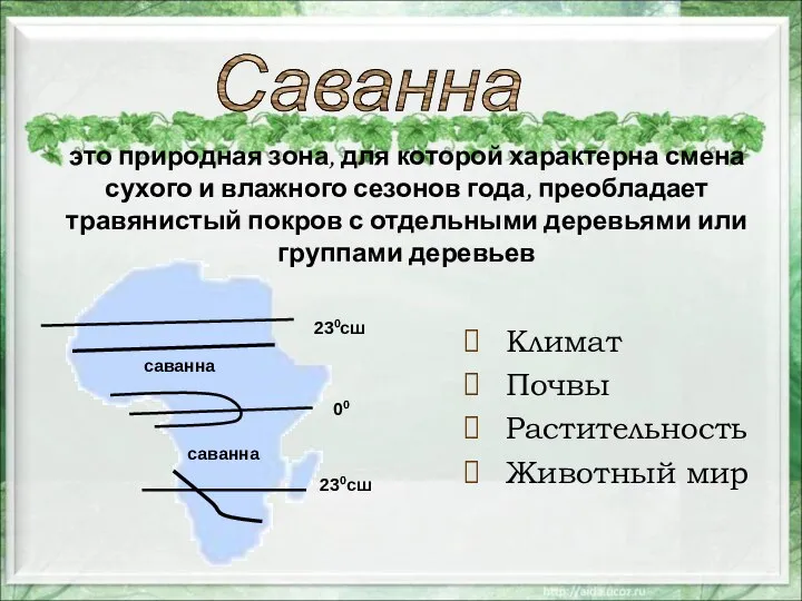 это природная зона, для которой характерна смена сухого и влажного сезонов