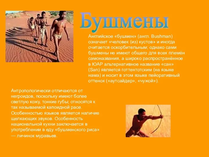 Бушмены Английское «бушмен» (англ. Bushman) означает «человек (из) кустов» и иногда