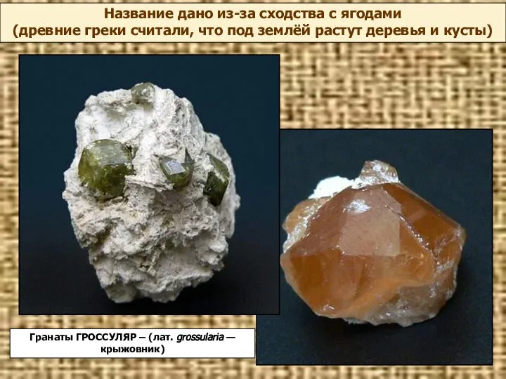 Гранаты ГРОССУЛЯР – (лат. grossularia — крыжовник) Название дано из-за сходства