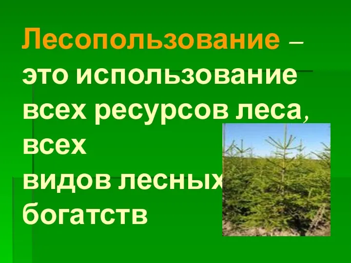 Лесопользование – это использование всех ресурсов леса, всех видов лесных богатств