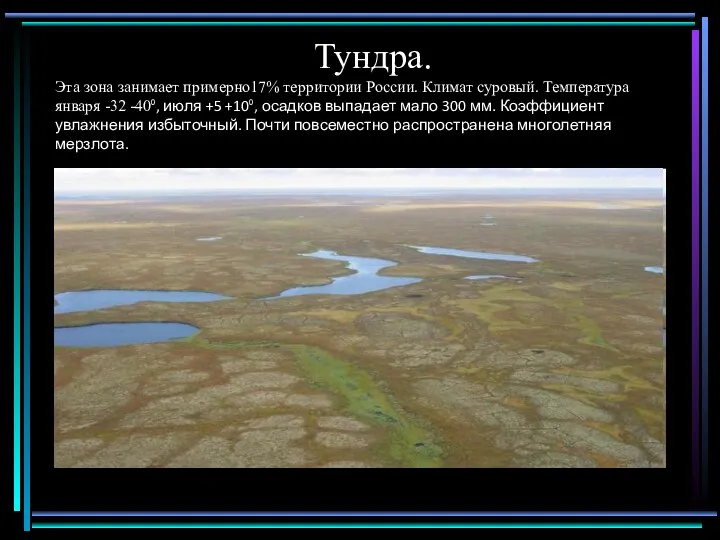 Тундра. Эта зона занимает примерно17% территории России. Климат суровый. Температура января