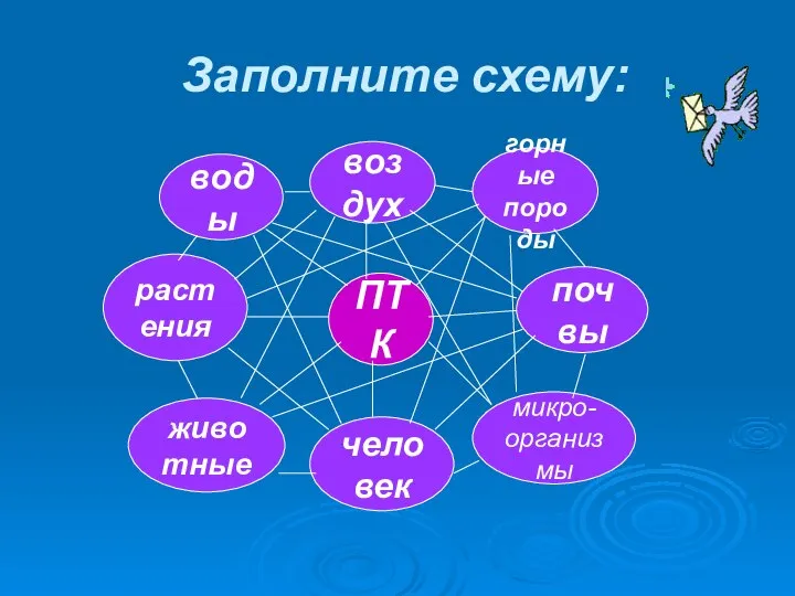 Заполните схему: ПТК воздух горные породы почвы микро- организмы человек животные растения воды