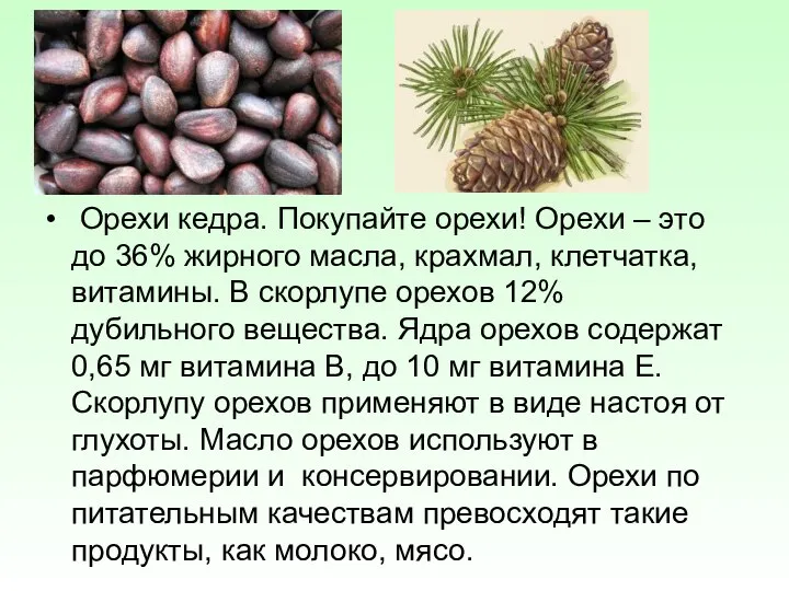 Орехи кедра. Покупайте орехи! Орехи – это до 36% жирного масла,