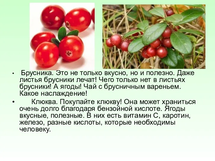 Брусника. Это не только вкусно, но и полезно. Даже листья брусники