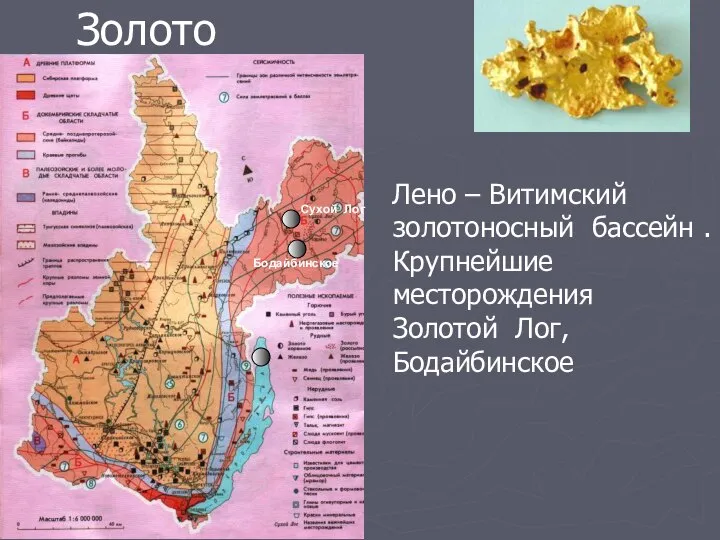 Золото Лено – Витимский золотоносный бассейн . Крупнейшие месторождения Золотой Лог, Бодайбинское Сухой Лог Бодайбинское