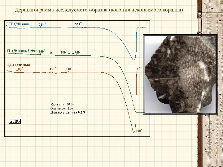 Дериватограмма исследуемого образца (колония ископаемого коралла)