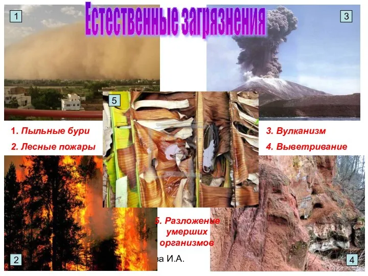 Бочкова И.А. Естественные загрязнения 1. Пыльные бури 2. Лесные пожары 3.