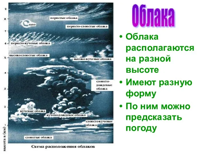 Бочкова И.А. Облака Облака располагаются на разной высоте Имеют разную форму По ним можно предсказать погоду