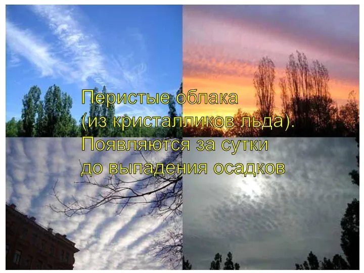 Бочкова И.А. Перистые облака (из кристалликов льда). Появляются за сутки до выпадения осадков