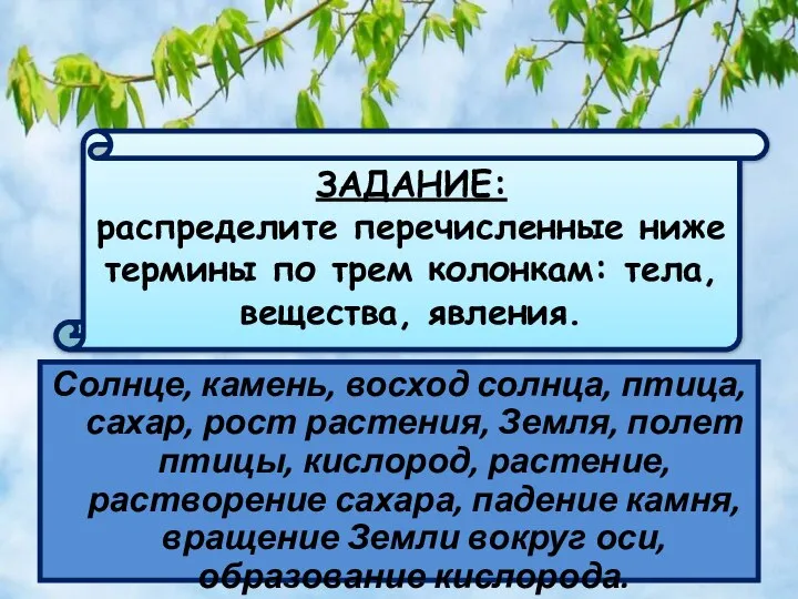 Солнце, камень, восход солнца, птица, сахар, рост растения, Земля, полет птицы,