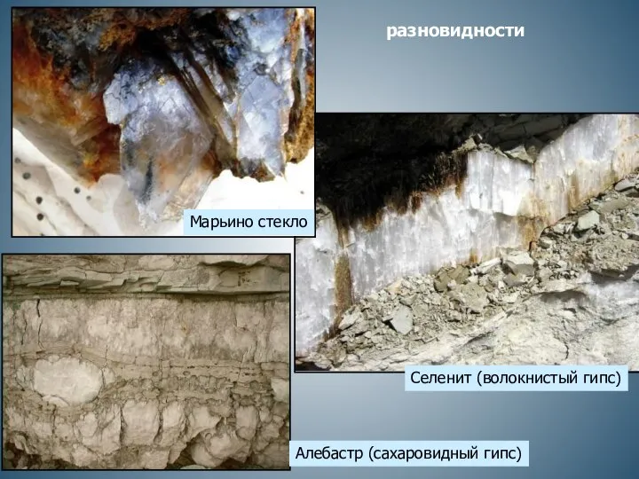 разновидности Селенит (волокнистый гипс) Марьино стекло Алебастр (сахаровидный гипс)