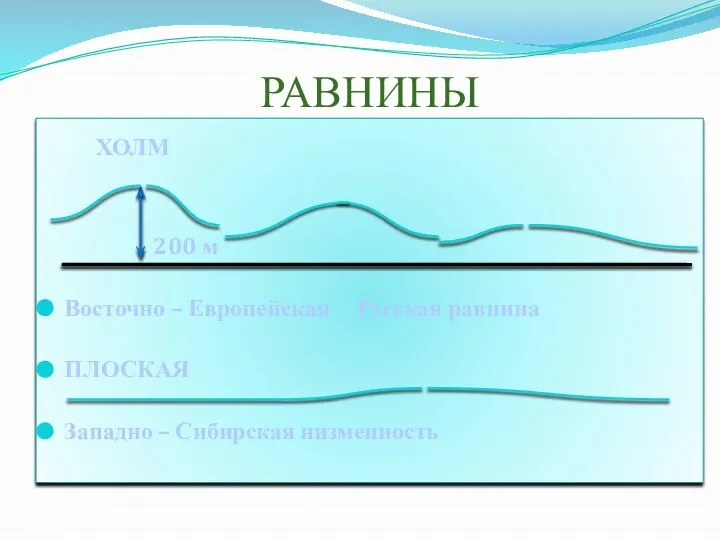 РАВНИНЫ ХОЛМ 200 м Восточно – Европейская Русская равнина ПЛОСКАЯ Западно – Сибирская низменность