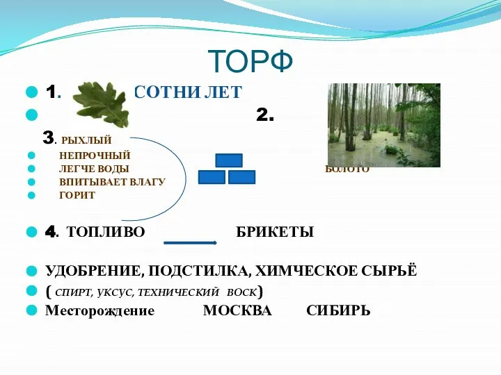 ТОРФ 1. СОТНИ ЛЕТ 2. 3. РЫХЛЫЙ НЕПРОЧНЫЙ ЛЕГЧЕ ВОДЫ БОЛОТО