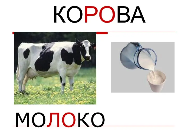 МОЛОКО КОРОВА