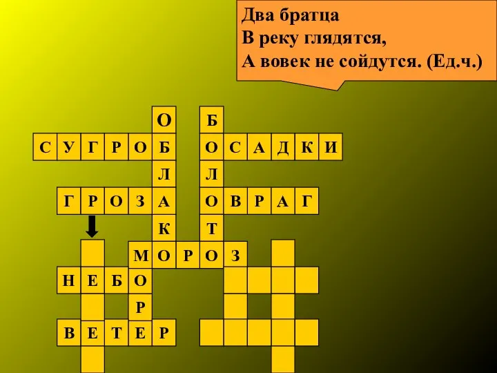 Два братца В реку глядятся, А вовек не сойдутся. (Ед.ч.)