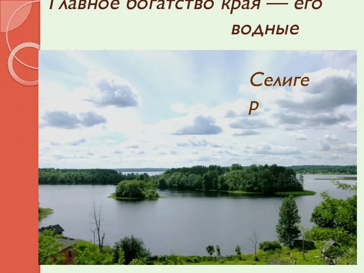 Западная Двина Главное богатство края — его водные ресурсы. В области