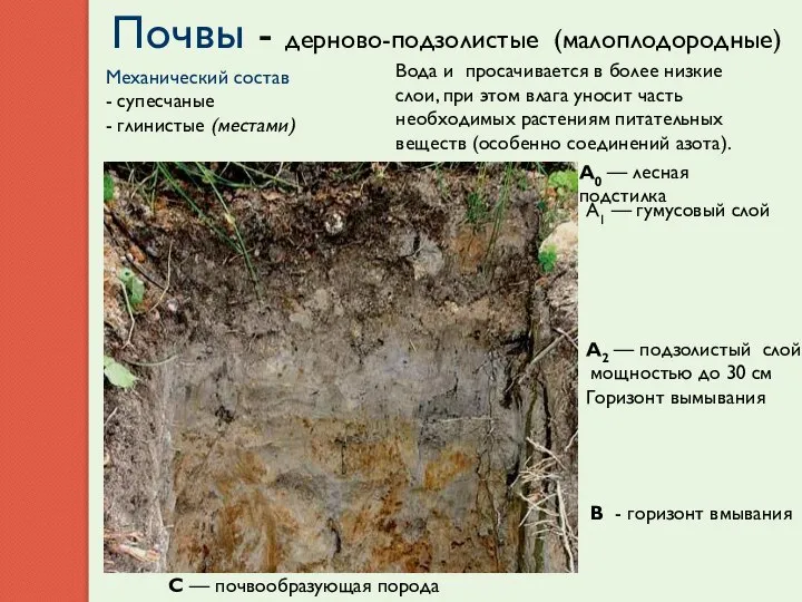 Почвы - дерново-подзолистые (малоплодородные) Механический состав - супесчаные - глинистые (местами)