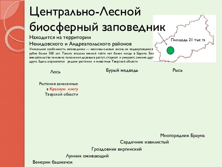 Центрально-Лесной биосферный заповедник Находится на территории Нелидовского и Андреапольского районов Уникальная