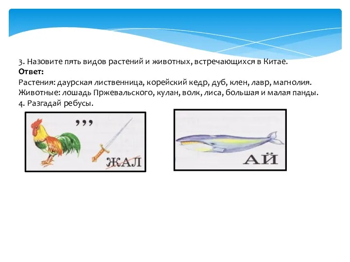 3. Назовите пять видов растений и животных, встречающихся в Китае. Ответ: