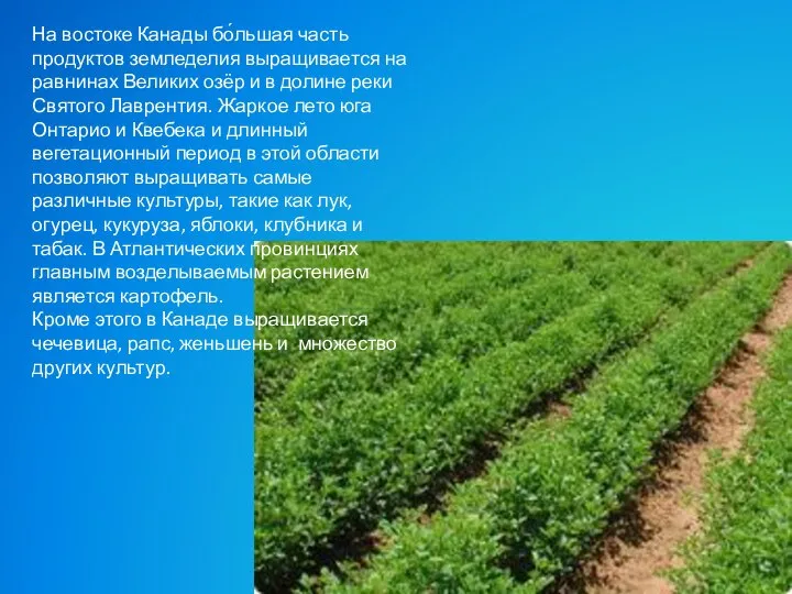 На востоке Канады бо́льшая часть продуктов земледелия выращивается на равнинах Великих