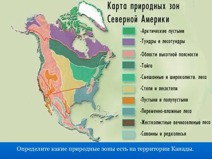 Определите какие природные зоны есть на территории Канады.