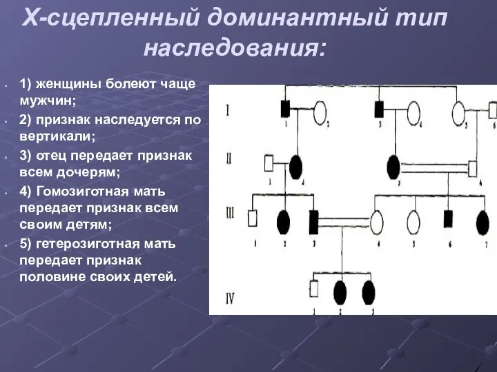 Х-сцепленный доминантный тип наследования: 1) женщины болеют чаще мужчин; 2) признак