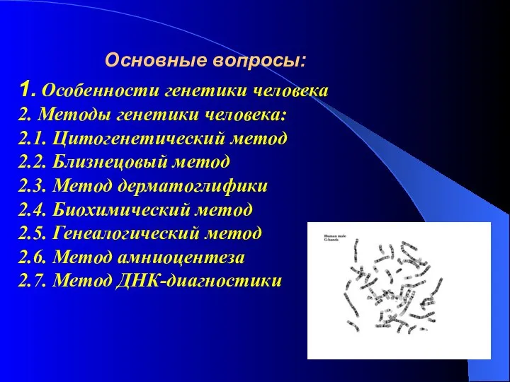 Основные вопросы: 1. Особенности генетики человека 2. Методы генетики человека: 2.1.