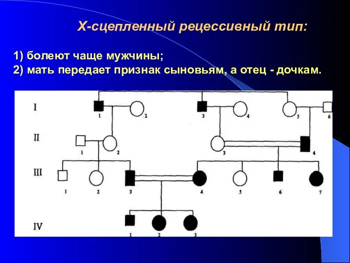 Х-сцепленный рецессивный тип: 1) болеют чаще мужчины; 2) мать передает признак сыновьям, а отец - дочкам.