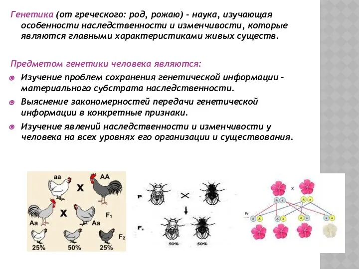 Генетика (от греческого: род, рожаю) - наука, изучающая особенности наследственности и