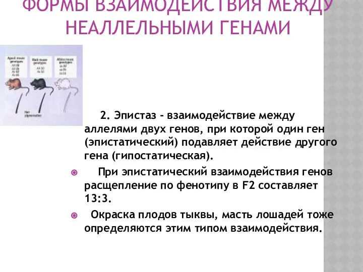 ФОРМЫ ВЗАИМОДЕЙСТВИЯ МЕЖДУ НЕАЛЛЕЛЬНЫМИ ГЕНАМИ 2. Эпистаз - взаимодействие между аллелями