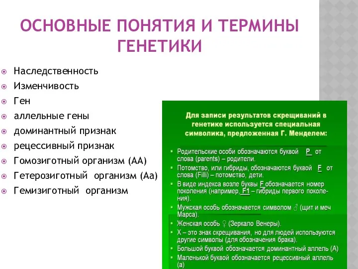 ОСНОВНЫЕ ПОНЯТИЯ И ТЕРМИНЫ ГЕНЕТИКИ Наследственность Изменчивость Ген аллельные гены доминантный