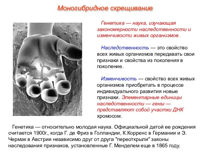 Генетика — наука, изучающая закономерности наследственности и изменчивости живых организмов. Наследственность