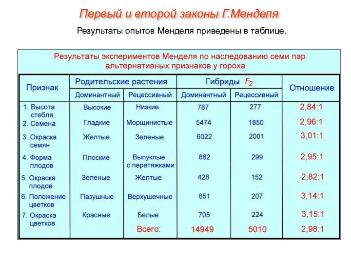 Результаты опытов Менделя приведены в таблице. Первый и второй законы Г.Менделя