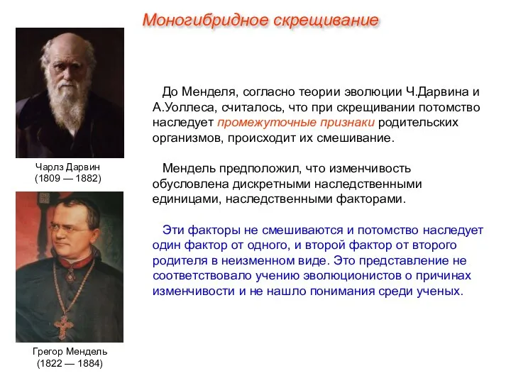 До Менделя, согласно теории эволюции Ч.Дарвина и А.Уоллеса, считалось, что при