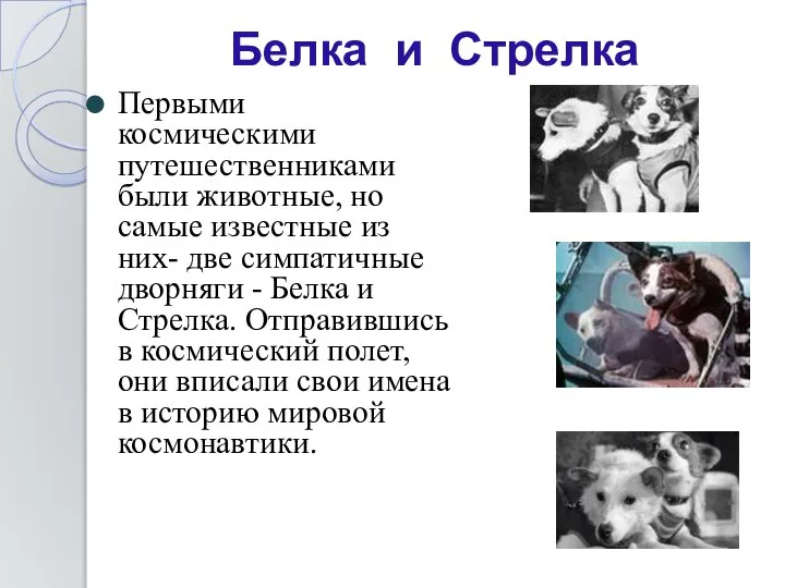 Первыми космическими путешественниками были животные, но самые известные из них- две